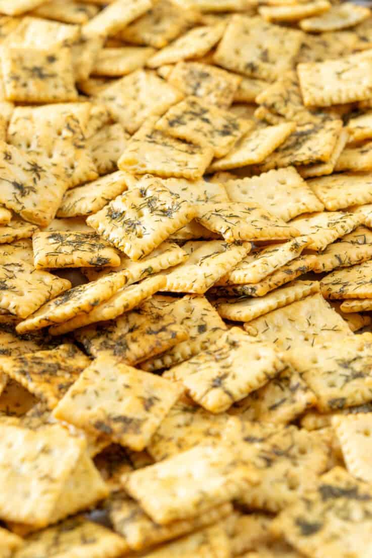 Baked dill pickle saltines that are crispy with lots of dill on them, spread all over the baking sheet, fresh from the oven.