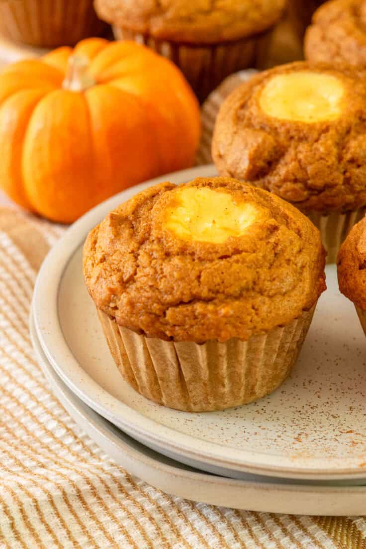 Homemade pumpkin cream cheese muffin on a plate in front of a mini pumpkin and more muffins.