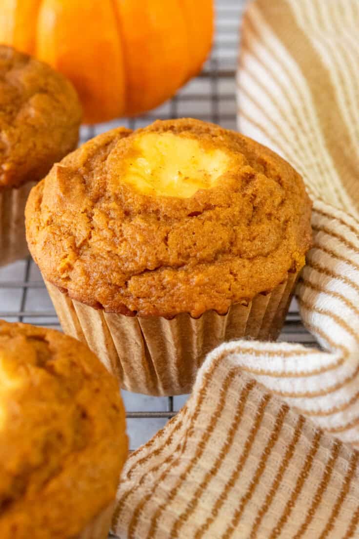 A close-up view of a perfectly moist pumpkin cream cheese muffin with a cream cheese center, in front of a mini pumpkin on a cooling rack.