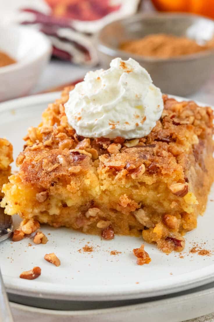 A piece of pumpkin dump cake covered in buttery chopped pecans and whipped cream.