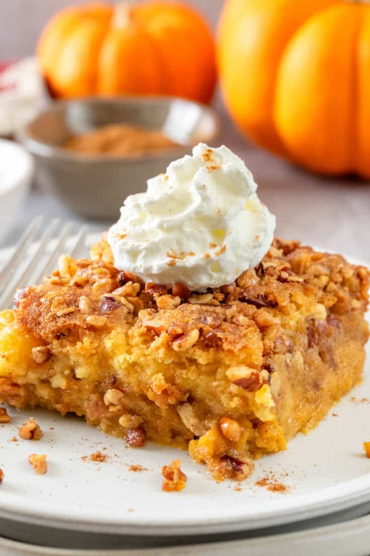 A slice of pumpkin dump cake topped with whipped cream and pumpkin spice on a plate that's in front of a small bowl of cinnamon and two pumpkins.