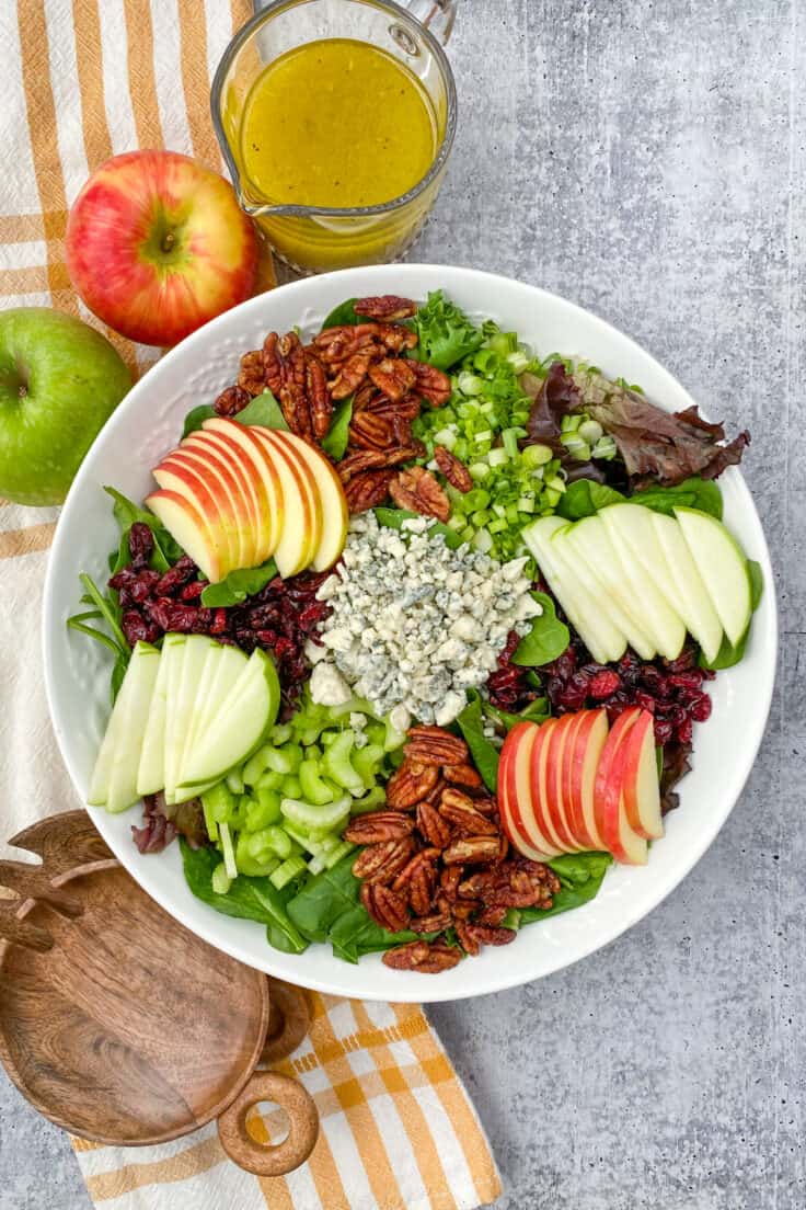 A large salad bowl full of greens with piles of candied pecans, dried cranberries, blue cheese, apple slices, chopped celery and green onion on top before being tossed together. A jar of vinaigrette and two apples are next to the salad.