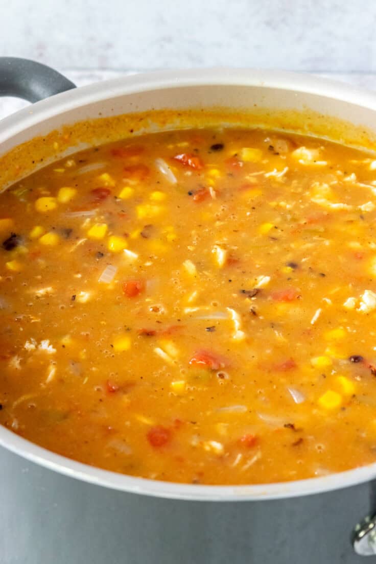 A simmering pot of creamy chicken tortilla soup.