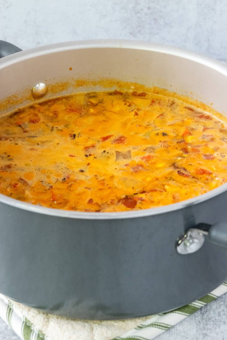 Making tortilla soup in a pot with all the vegetables, chicken broth and seasoning combined and boiling.