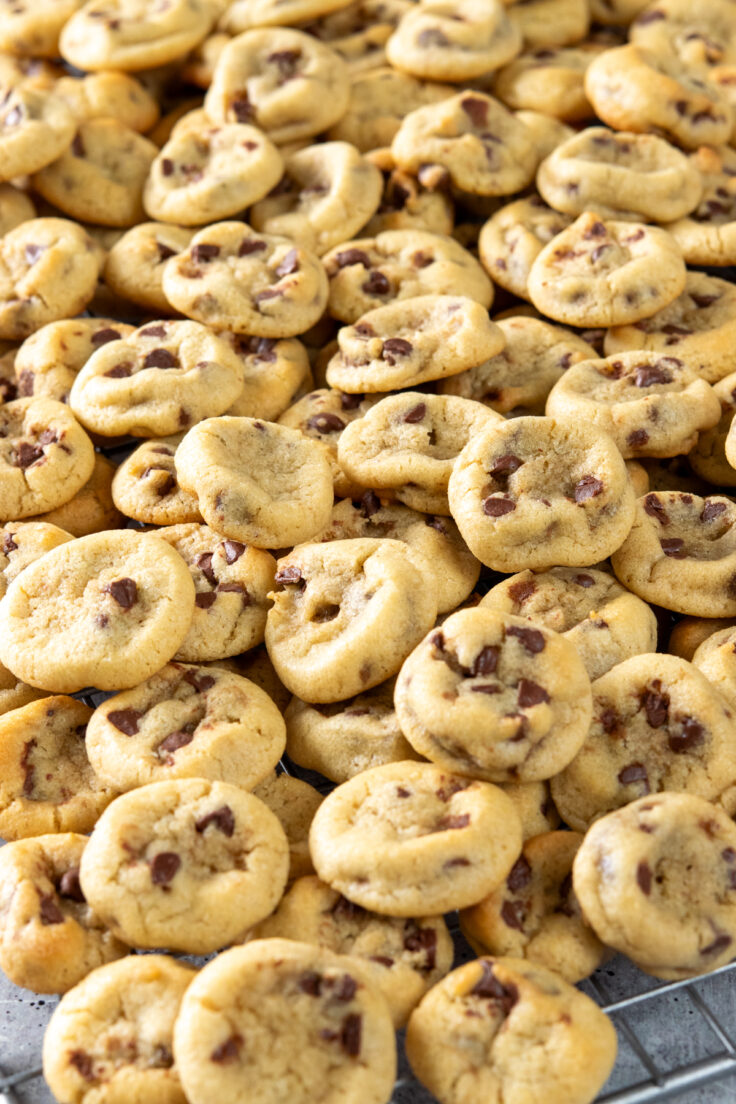 Lots of tiny chocolate chip cookies piled high on a cooling rack. The mini cookies are loaded with melted mini chocolate chips.