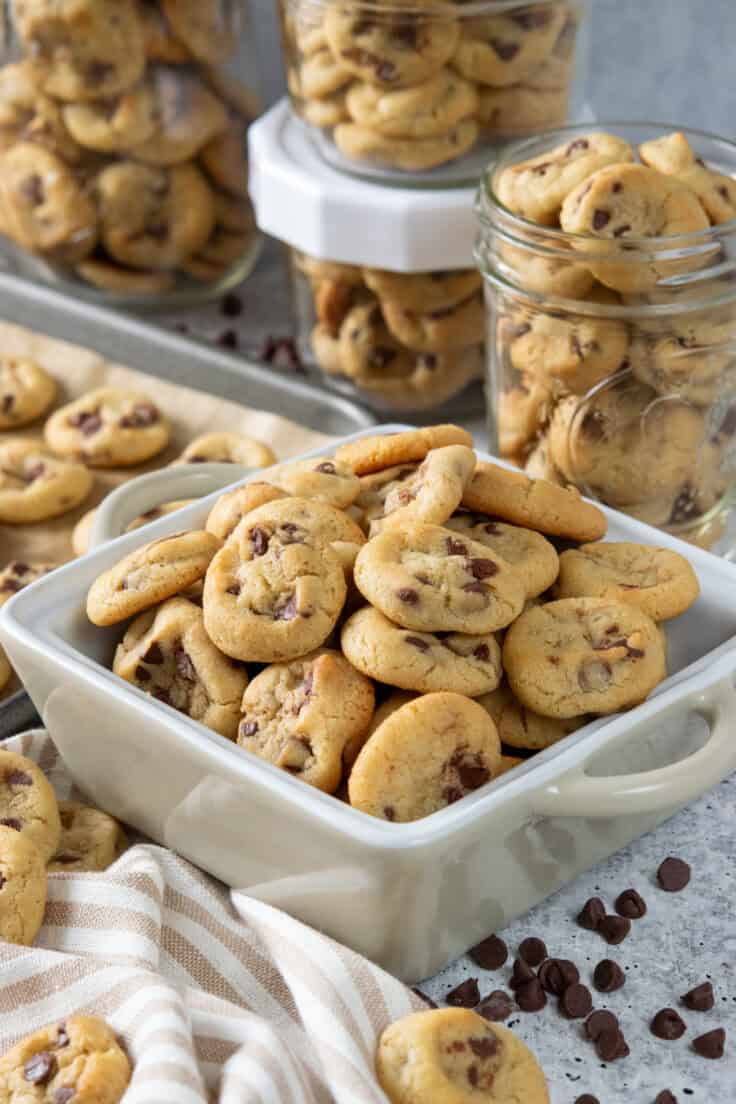 A small dish filled with mini chocolate chip cookies. In the background is a baking tray with tiny cookies on it and small jars filled with the bite-sized cookies for gifting.