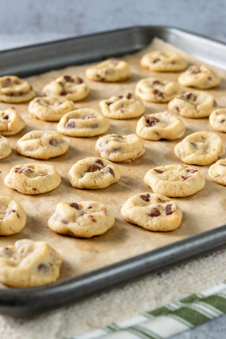 Mini cookies on a baking tray just taken out of the oven. The picture shows how the cookies are soft and chewy, not flat and crispy.