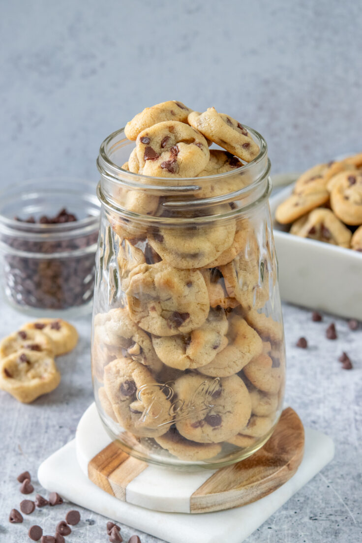 A pint mason jar filled with tiny cookies for gift giving. In the background is a small jar filled with mini chocolate chips and a tray of the bite-sized cookies.