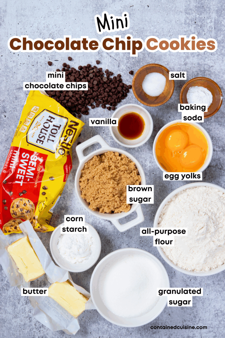 Overhead photo showing all the ingredients needed to make tiny chocolate chip cookies, including a bag of mini chocolate chip morsels that's opened with chocolate chips spilling out.