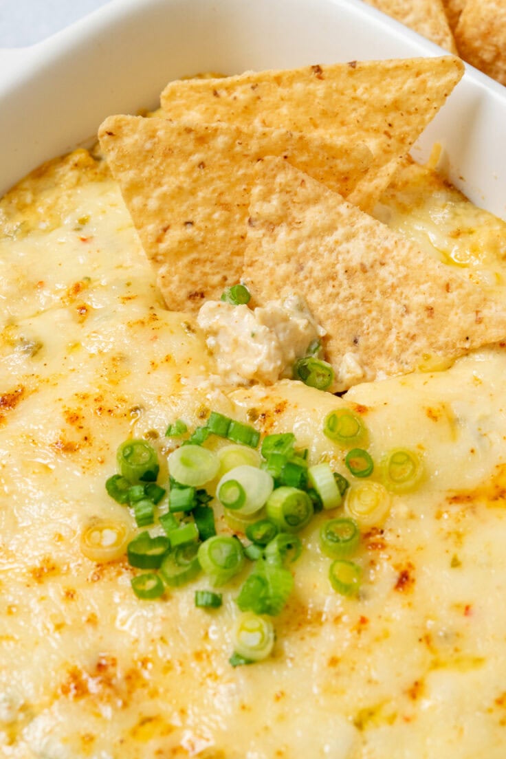 Close-up of hot cheesy chicken enchilada dip with tortilla chips dipped into the melted cheese.