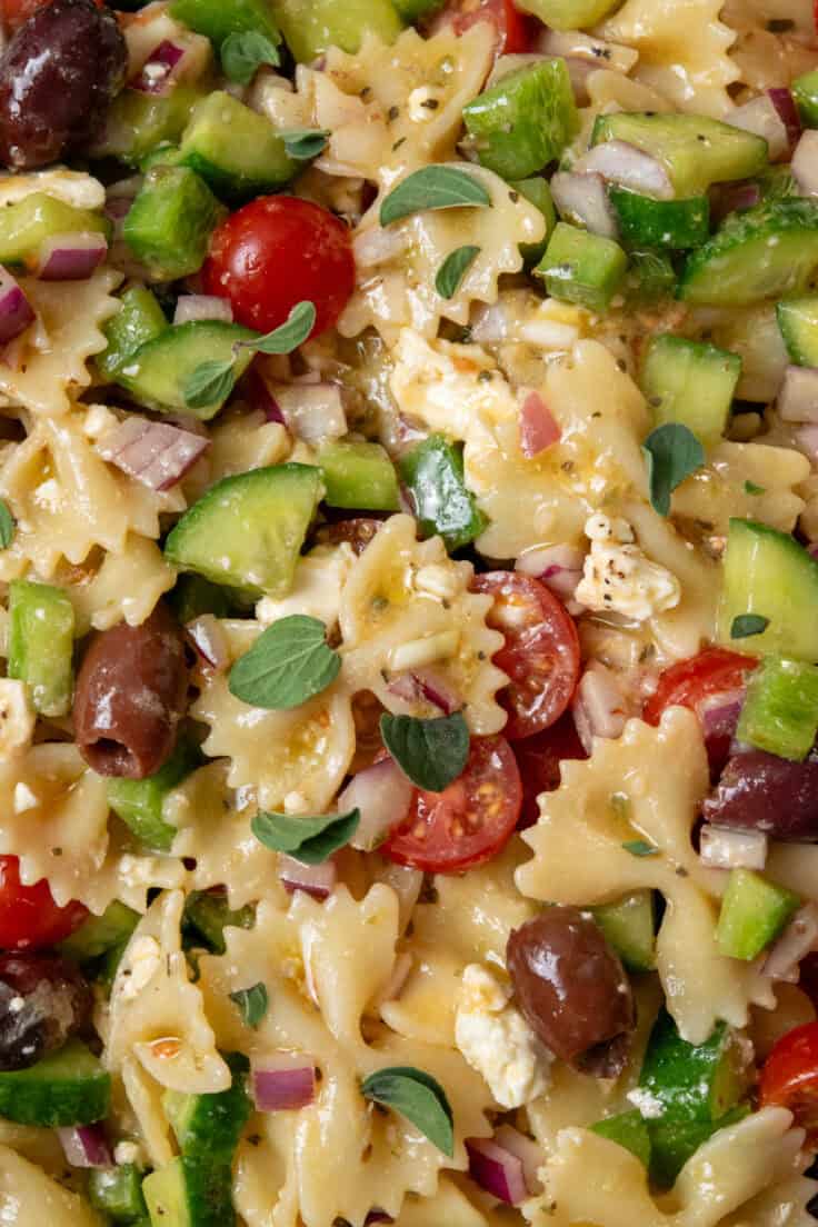 Close-up of Greek pasta salad with farfalle pasta, olives, cucumbers, red onion, feta, and oregano coated in a glossy vinaigrette dressing.