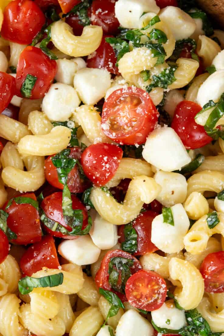 Close-up of caprese pasta salad with halved tomatoes, fresh mozzarella, basil ribbons, and pasta coated in vinaigrette.