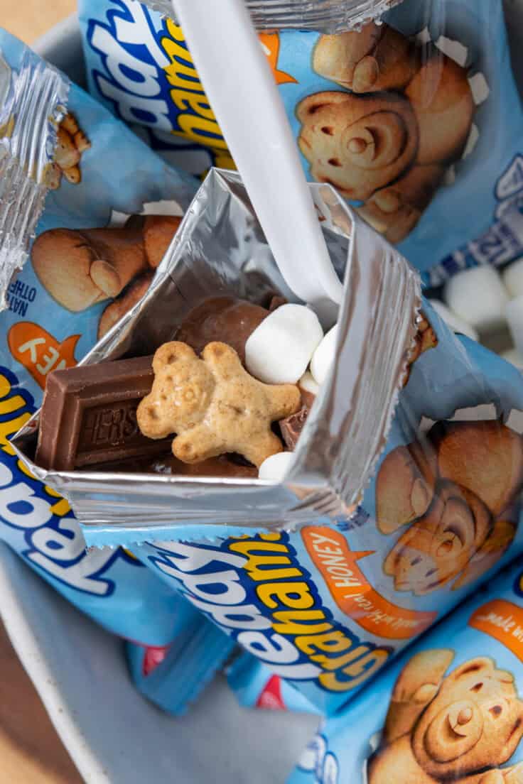 Close-up of a walking s'mores dessert featuring a Teddy Grahams cookie, Hershey's chocolate, mini marshmallows, and creamy chocolate pudding inside a snack bag.