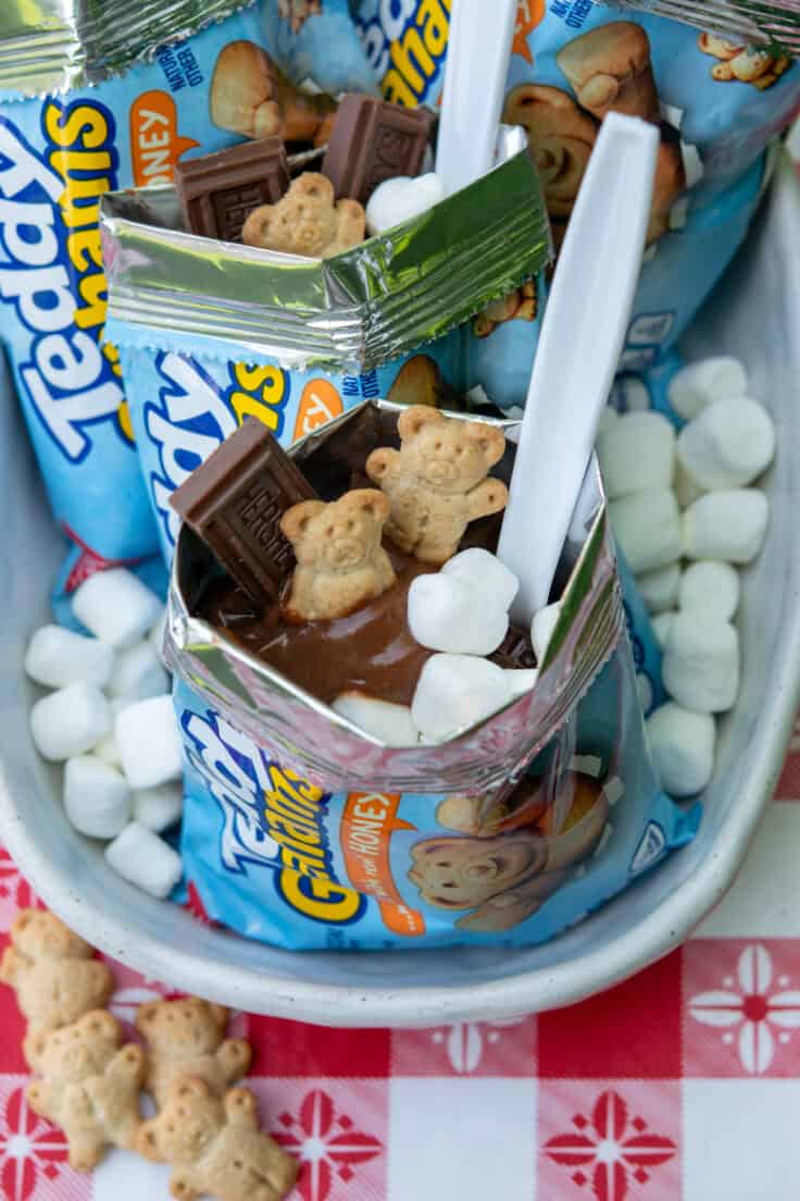 Close-up inside a walking s'mores bag filled with chocolate pudding, mini marshmallows, chopped Hershey's chocolate, and Teddy Grahams on an outdoor dessert table.