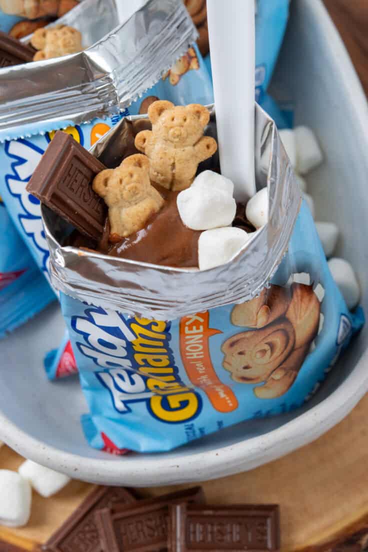 Close-up of a walking s'mores dessert with creamy chocolate pudding, mini marshmallows, Hershey's chocolate, and two Teddy Grahams on top, served on a rustic wood slice tray.