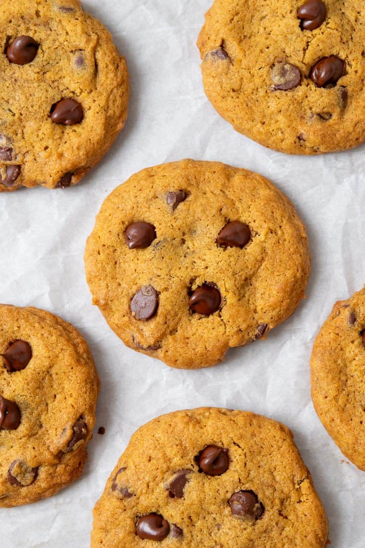 Freshly baked pumpkin chocolate chip cookies cooling on parchment paper with melted chocolate chips and lightly crisp edges.