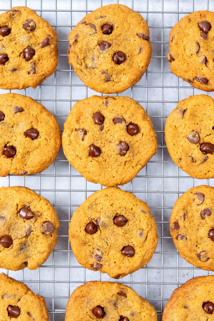 A dozen homemade pumpkin chocolate chip cookies cooling on a wire rack.