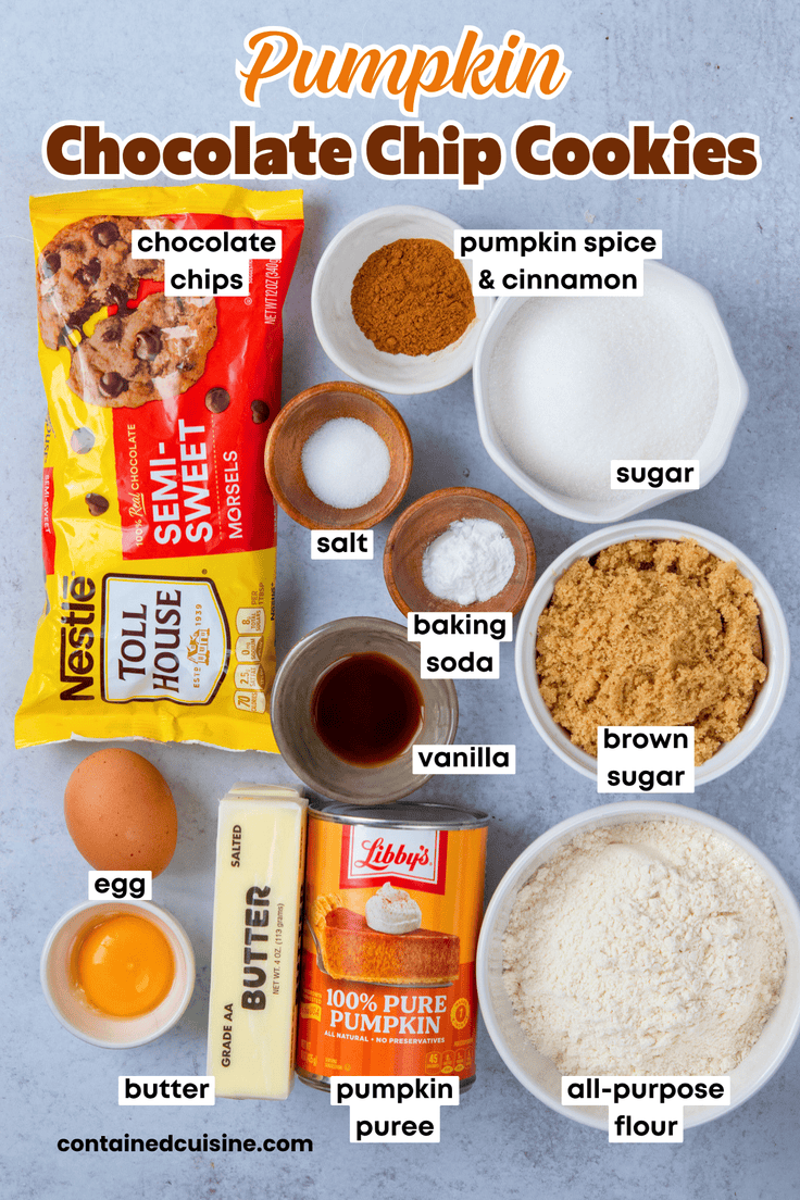 An overhead view of the labeled ingredients needed to make pumpkin chocolate chip cookies.